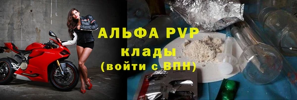 стаф Каменка