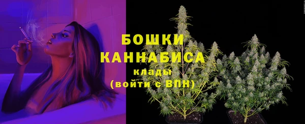 стаф Каменка
