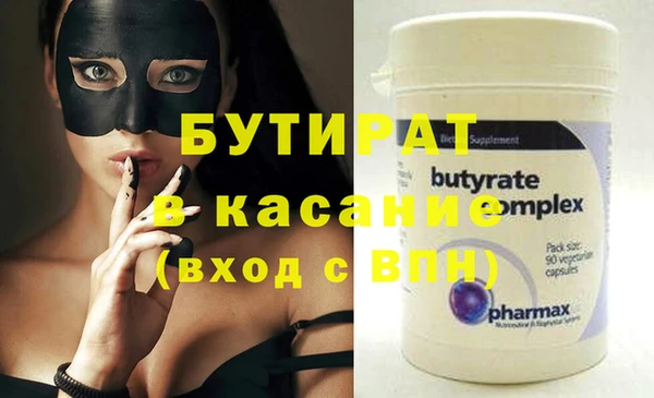 стаф Каменка