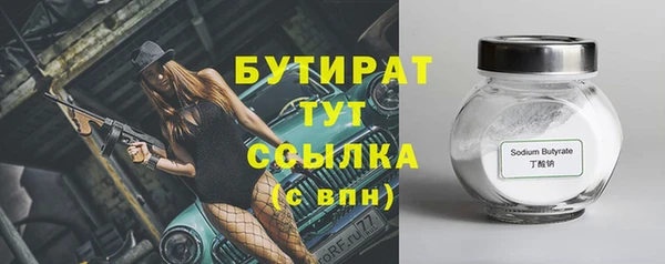 стаф Каменка