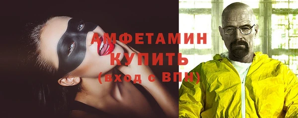 стаф Каменка