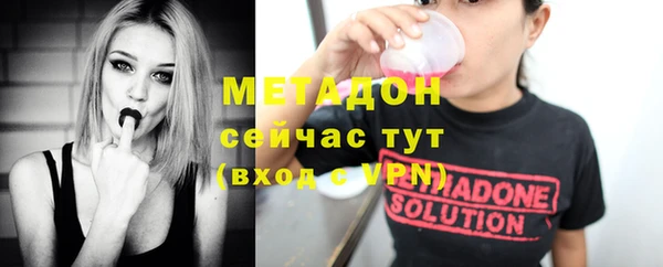 стаф Каменка