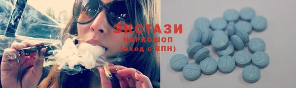 стаф Каменка