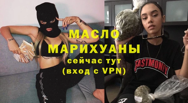 стаф Каменка