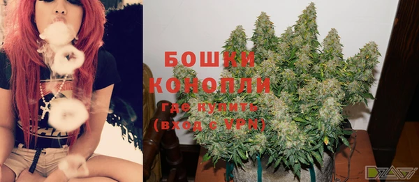 стаф Каменка