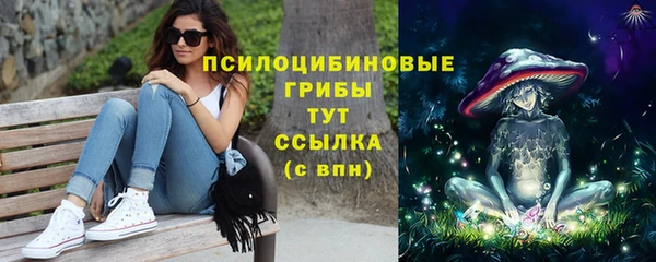 стаф Каменка