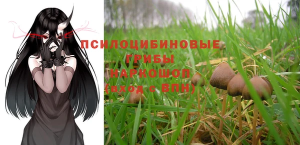 стаф Каменка