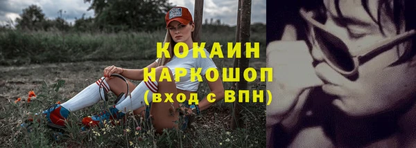 стаф Каменка