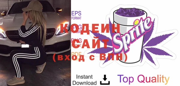 стаф Каменка