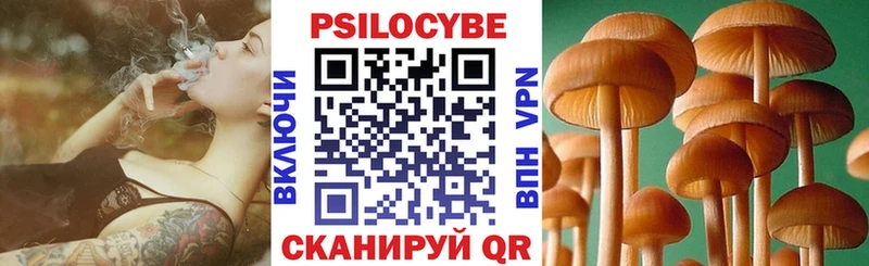 Псилоцибиновые грибы Psilocybe  Купить где  Зарайск 